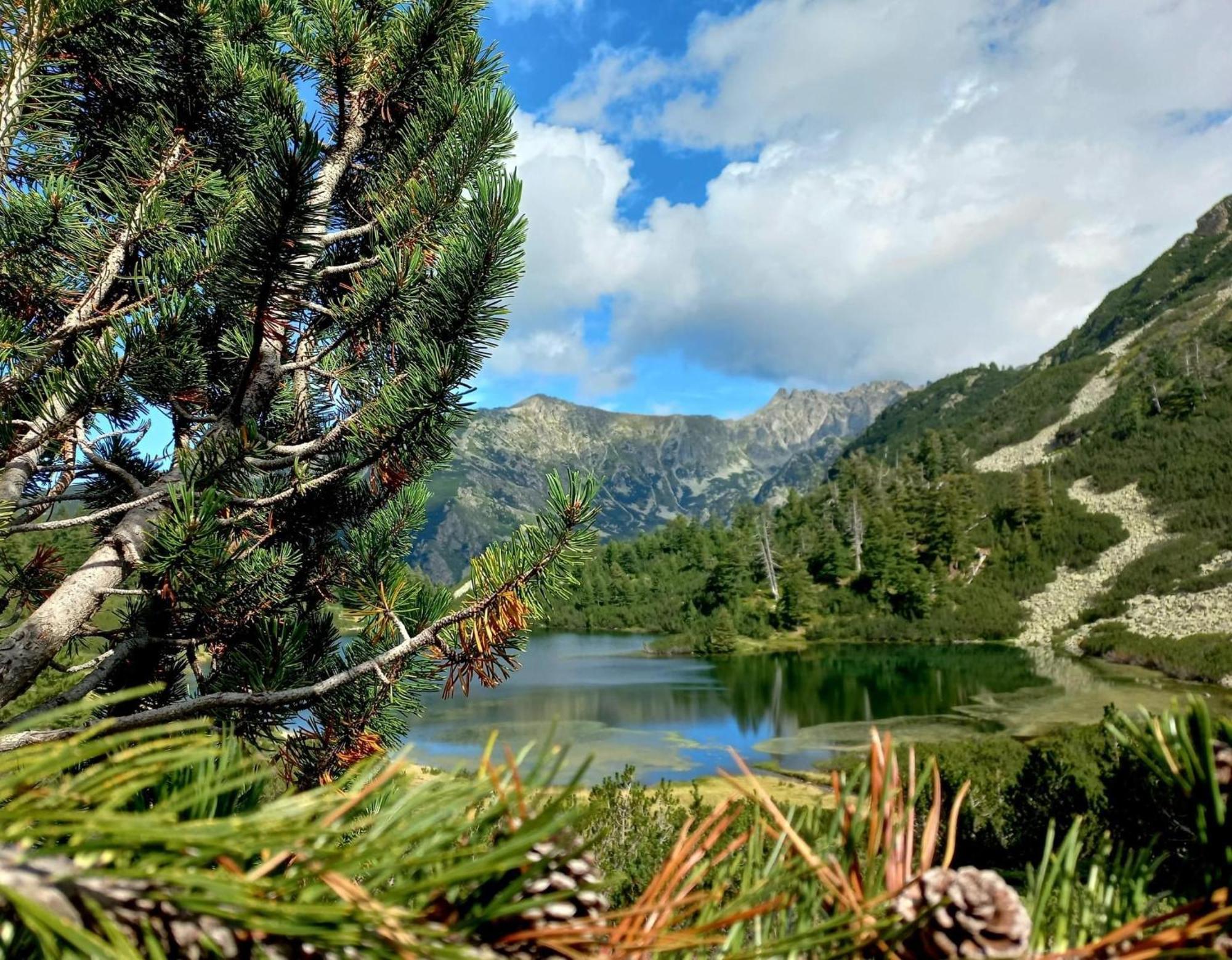 Alpine Lodge Bansko Apartments المظهر الخارجي الصورة