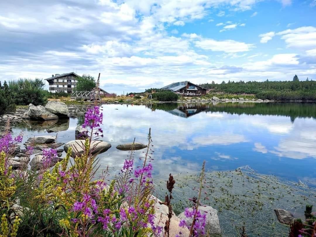 Alpine Lodge Bansko Apartments المظهر الخارجي الصورة