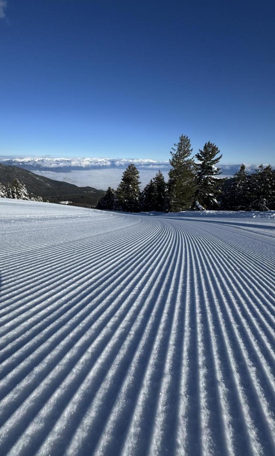 Alpine Lodge Bansko Apartments المظهر الخارجي الصورة