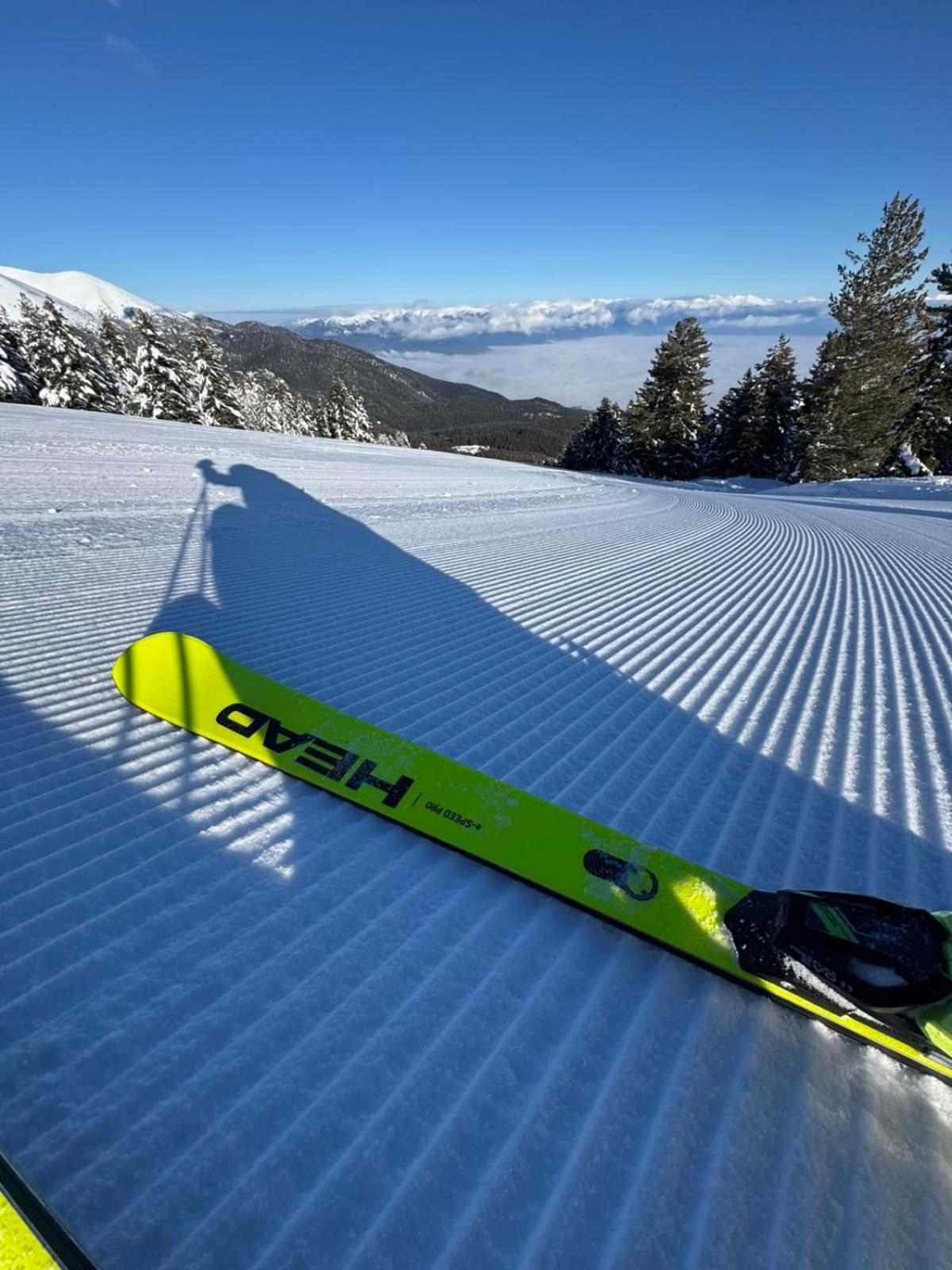 Alpine Lodge Bansko Apartments المظهر الخارجي الصورة